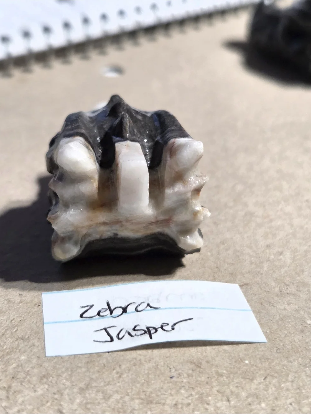 Zebra Jasper Decorative Reptile Ornament - Black & White